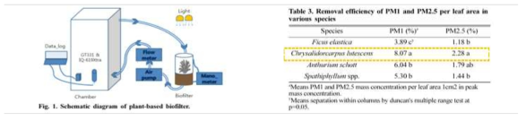 식물을 활용한 미세먼지 제거효과 실험 방법 및 결과 * 출처: 충북대학교 원예학과, 2014, 4가지 관엽식물을 이용한 바이오필터의 미세먼지 제거 효과