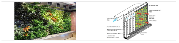 Newdlaw Living wall biofilter 이미지와 도면 * 출처: Nedlaw, Living wall Biofilter: Growing Clean Air and Energy Saving