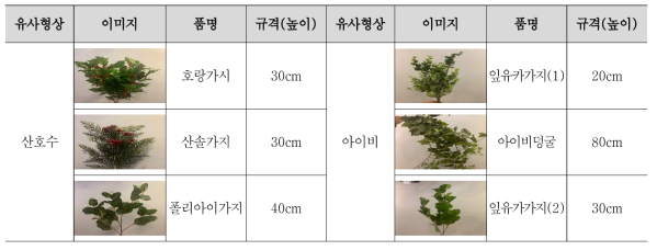 겨울철 미세먼지 저감장치 적용 조화식물 후보군