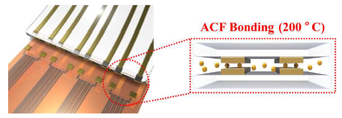 ACF bonding 기술