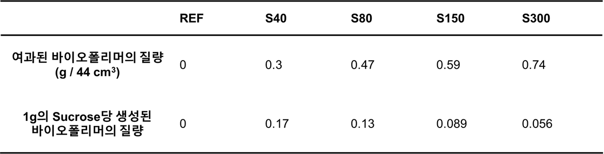 Sucrose 농도에 따른 바이오폴리머의 생성량