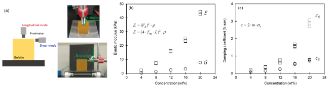 고정-자유단 조건에서의 젤라틴의 공진 실험 구성 및 이를 통해 얻은 (b) 젤라틴의 영률(E)과 전단 탄성 계수 (G), 그리고 (c) 감쇠율