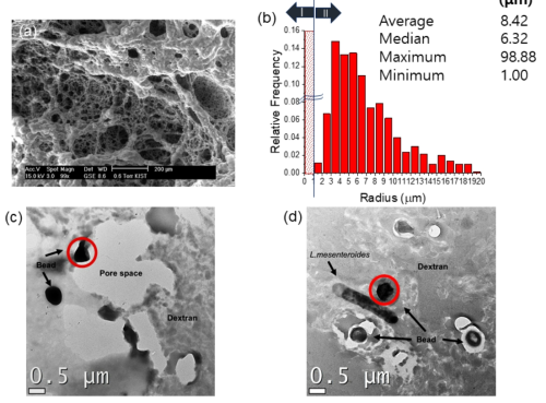 (a) 덱스트란의 ESEM 이미지, (b) ESEM 이미지 분석을 통한 공극 크기 분포, (c,d) 덱스트란 시료의 TEM 이미지