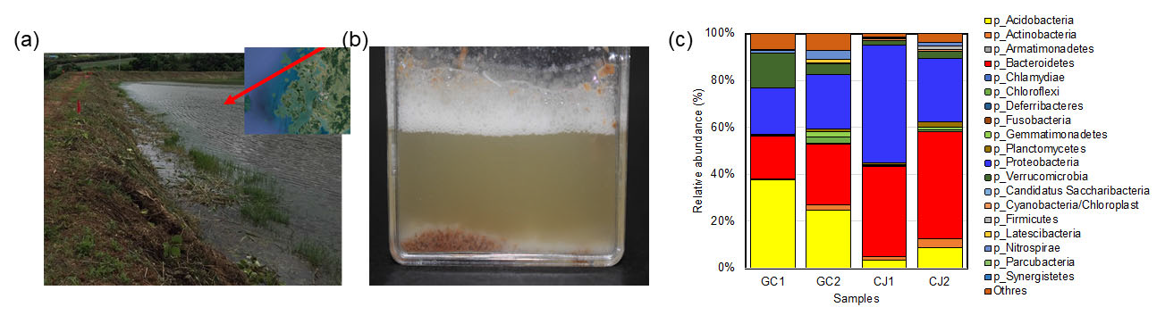 국내에 서식하는 토양 미생물 수집: (a) 수집 장소 (전라북도 고창군), (b) 실험실 배양, (c) NGS 분석을 통한 고창군 (GC1, GC2)과 청주시 (CJ1, CJ2) 샘플의 서식 미생물 군집 분석