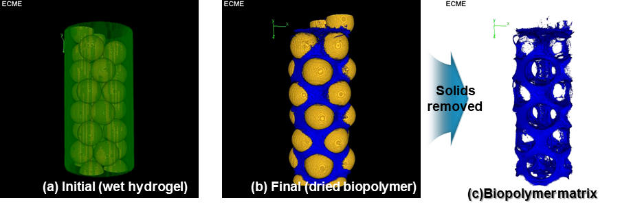 Xray-CT 촬영을 이용한 바이오폴리머 처리된 사질토의 이미지: (a) 포화상태, (b) 건조상태, (c) 추출한 바이오폴리머 이미지