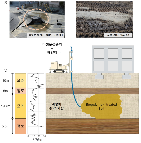 (a) 액상화 피해 사례, (b) 액상화 취약 지반의 미생물 보강 기법 모식도