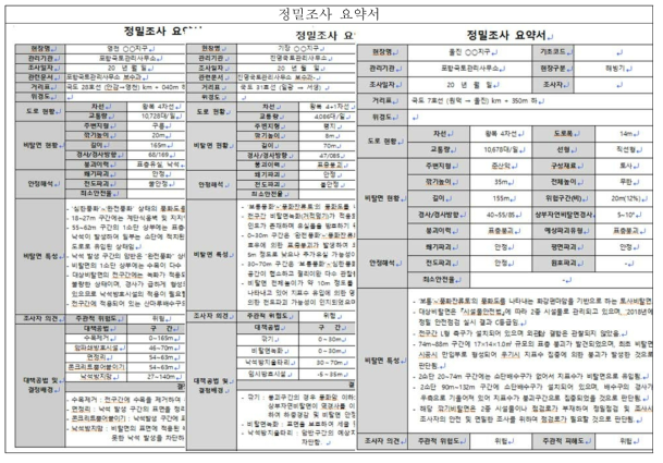 대상 Test Bed 정밀조사 요약표