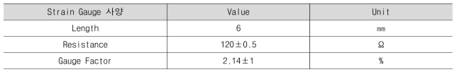 스트레인 게이지 사양