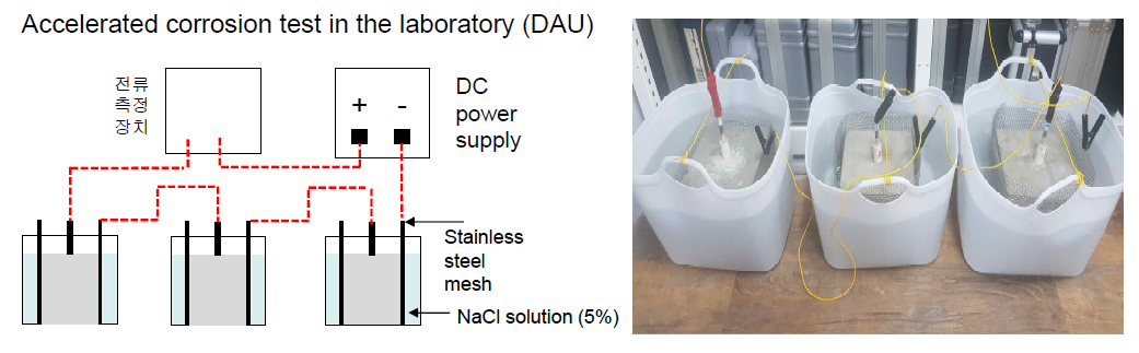 콘크리트에 매입된 철근의 급속부식실험 수행