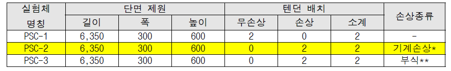 PSC 구조물 실험체 제원 (단위 : mm)