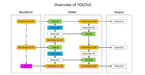YOLO Object Detection Models