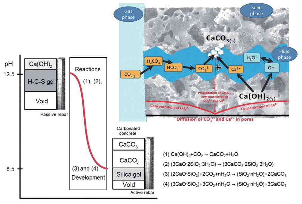 콘크리트의 탄산화 메커니즘