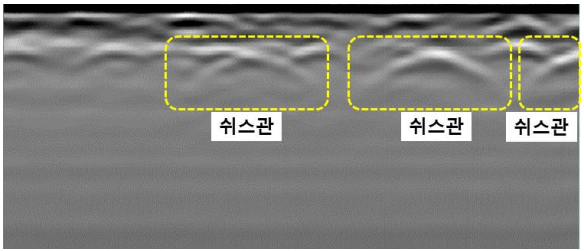 쉬스관 위치 탐색