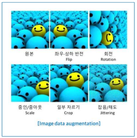 Image data augmentation