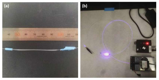 (a) 일부를 가늘게 만든 고분자 광섬유. (b) 405 nm LED 광원 및 연결된 광섬유