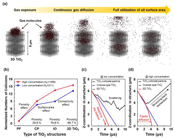 (a) 정렬 다공성 TiO2 나노구조체에 대한 유한요소법을 기반의 가스분자 충도횟수 및 확산 시뮬레이션. (b) 다양한 형태의 TiO2 나노구조체에 대한 충돌횟수. (c) 저 농도일 때와 (d) 고 농도일 때의 가스 확산 속도