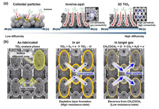 다양한 형태의 TiO2 나노구조체에 대한 (a) 가스분자 확산 모식도와 (b) 정렬 다공성 TiO2 나노구조체의 가스 반응 메카니즘을 나타내는 모식도