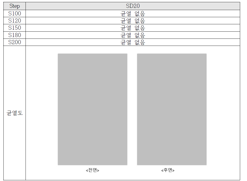 SD20 시험체 균열도