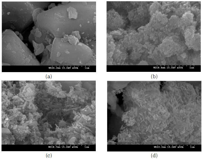 (a) NaYF4:(Yb,Er), (b) TiO2/NaYF4:(Yb,Er), (c) N-TiO2/NaYF4:(Yb,Er), (d) (C,N,S)-TiO2/NaYF4:(Yb,Er)의 SEM 이미지