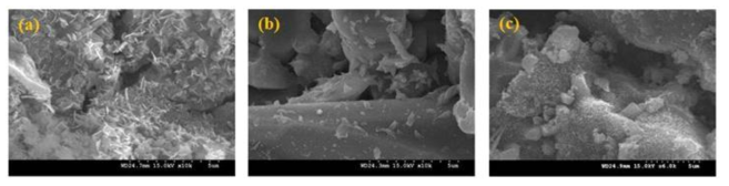 SEM 이미지 (a) phosphor/TiO2 (b) phosphor/g-C3N4 (c) phosphor/TiO2/g-C3N4