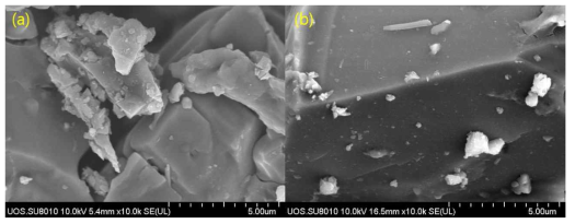 (a) SiO2/TiO2-coted tile의 SEM 사진, (b) TiO2-coated tile의 SEM 사진