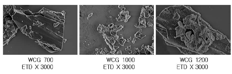 WCG온도별 SEM분석 결과