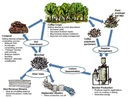 커피 분말을 이용한 흑연화 탄소의 제조 공정과 응용 분야