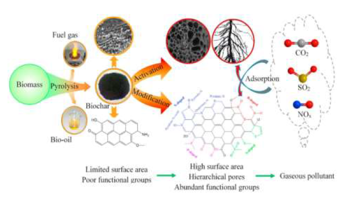 바이오매스를 이용한 탄화 공정 및 활성화 공정에 따른 분자구조 변화