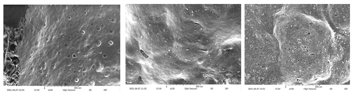 (왼쪽부터) 필러 함량 10, 20, 30wt% PK/IFR/MOSw SEM image