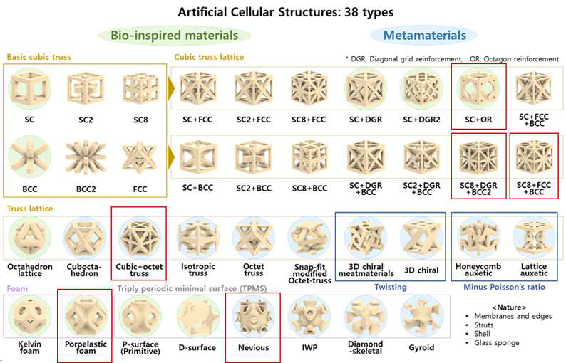 동일한 30% 부피비로 모델링한 자연모방 및 메타구조(빨간색: FDM 방식 3D 프린팅 가능한 구조)