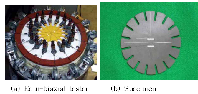 등2축인장 시편 및 시험기