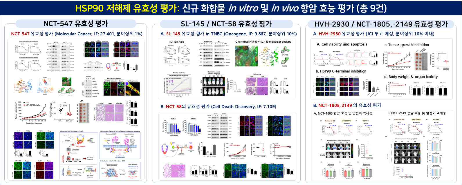 HSP90 저해제 신규 유도체 in vitro 및 in vivo 유효성 평가
