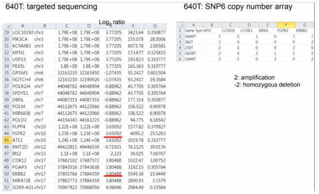 FGFR2 amplification detection의 예. 왼쪽, SNP6.0 상 FGFR2 amplification 이 있는 FFPE tumor DNA 검체의 targeted sequencing 결과. Cnvkit 방법을 통한 FGFR2 log2 ratio 값이 3.65 로 FGFR2 amplification 이 있는 것으로 동정되었고, ERBB2 log2 ratio 값이 3.84 로 ERBB2 amplification 도 있는 것으로 동정되었음. 오른쪽, 해당 검체의 SNP6.0 데이터 역시 FGFR2, ERBB2 의 amplification (GISITC thresholded value=2) 이 확인되었음을 보여주는 데이터