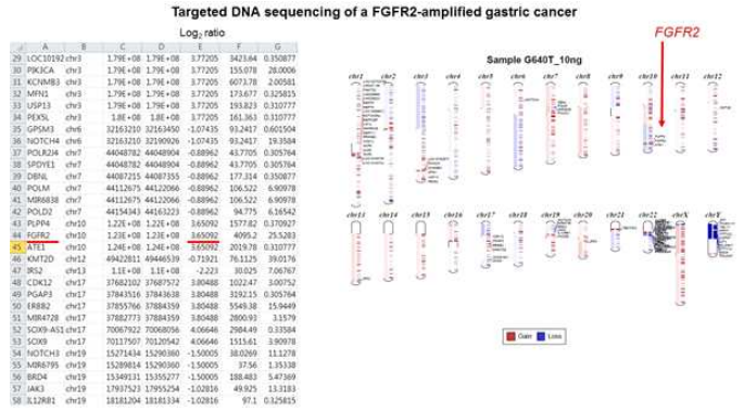 Targeted DNA sequencing of a FGFR2-amplified gastric cancer