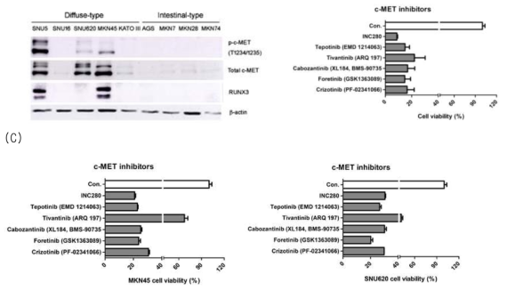 Effect of c-MET inhibitors in c-MET amplified gastric cancer cells positive or negative for RUNX3 expression