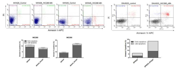 Flow cytometric analysis of INC280-induced apoptosis in SNU620, MKN28 and MKN45 cells. PI, propidium iodide