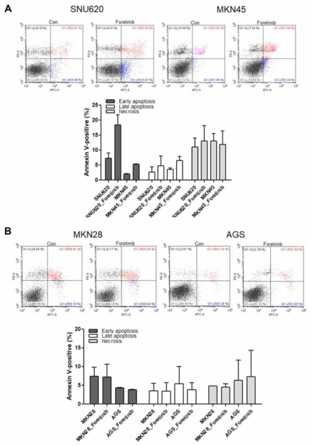 Apoptotic activity of foretinib in (A) c-MET-positive SNU620 and MKN45 cells and (B) c-MET-negative MKN28 and AGS cells. Flow cytometric assay of GC cells treated with 30 nM foretinib for 48 h. Data are means ± S.D