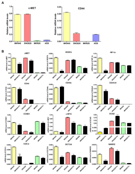 Effect of foretinib on carcinogenesis-related genes in GC cells. (A) c-MET and CD44 gene expression in gastric cancer cells and (B) mRNA levels of c-MET, HIF-1a, VEGFA, CD44, CD44s, CD44v9, CCND1, COX-2, and ECAD in MKN45, SNU620, MKN28, and AGS cells were determined by quantitative reverse-transcription polymerase chain reaction (qRT-PCR) analysis after treatment with 30 nM foretinib for 48 h. Data are means ± S.D. *P < 0.05; **P < 0.01; ***P < 0.001 (one-way analysis of variance [ANOVA])