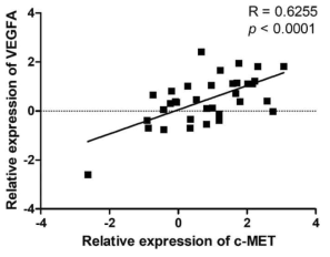 Correlation between c-Met and vascular endothelial growth factor A (VEGFA) expression levels in GC patients. RNA-sequencing analysis of c-Met and VEGFA messenger RNA (mRNA) expression in paired GC and normal tissue samples. R = 0.6255, p < 0.0001 (Spearman correlation)