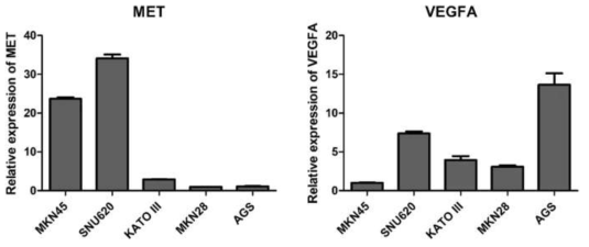 c-Met (a) and VEGFA (b) gene expression as measured by quantitative real-time polymerase chain reaction in GC cell lines