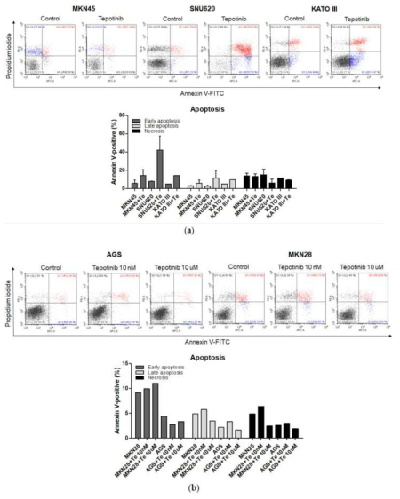 Apoptotic activation of c-MET-positive (a): MKN45, SNU620, and KATO III and c-MET-negative (b): AGS and MKN28 GC cells induced by tepotinib. Flow cytometric assay of the apoptotic and necrotic cells (UL: necrotic; UR: late apoptotic; LL: live; LR: early apoptotic) after 48 h of incubation with tepotinib (10 nM)