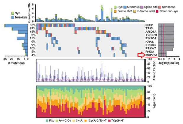 Recurrent mutations in Korean diffuse gastric cancer (n=80)