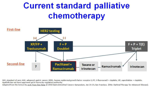 Current standard palliative chemotherapy