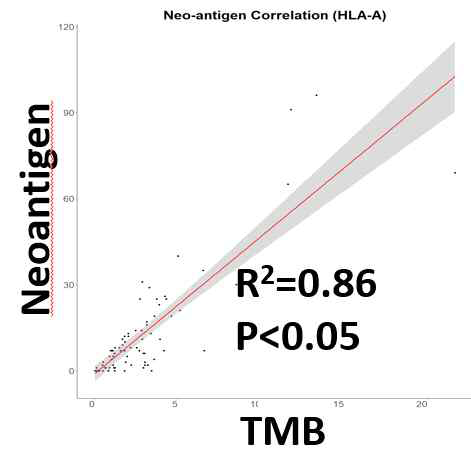 TMB & neoantigen correlation