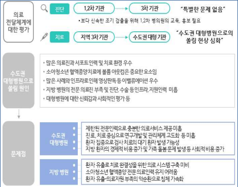 의료전달체계 및 수도권 쏠림 현상에 대한 태도