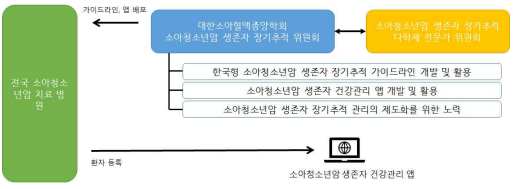 생존자 건강관리 앱 추진체계