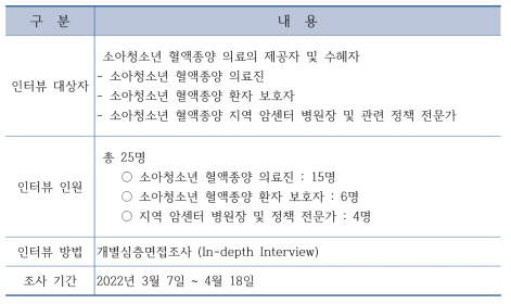 심층 인터뷰 개요