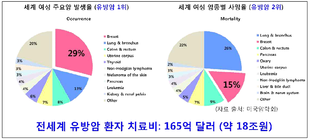 국외의 유방암 발생 현황 및 사망률 (2015, 미국암학회, American Cancer Society)