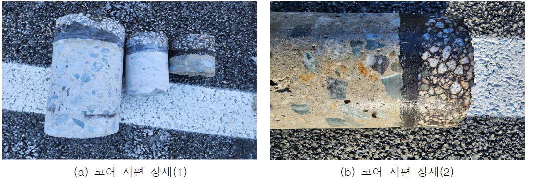 현장 채취 코어 현황