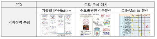 한국특허전략개발원 과제기획, 기획전략 수립 유형 주요 분석 예시